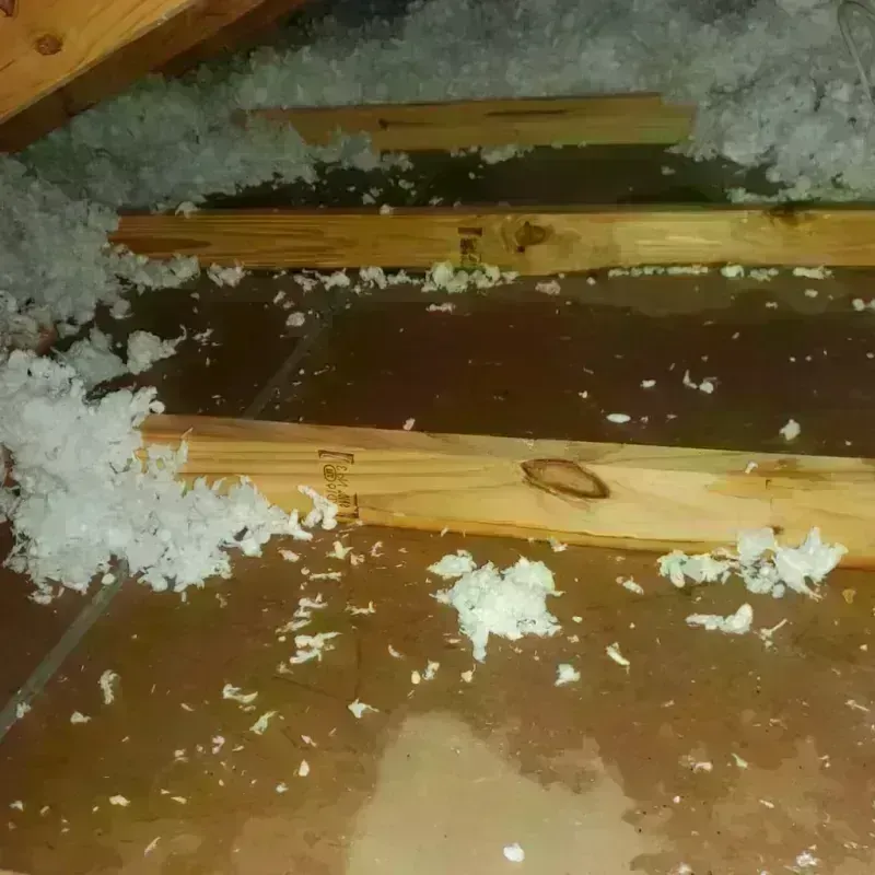 Attic Water Damage in Eldorado, TX