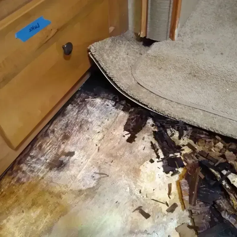 Wood Floor Water Damage in Eldorado, TX